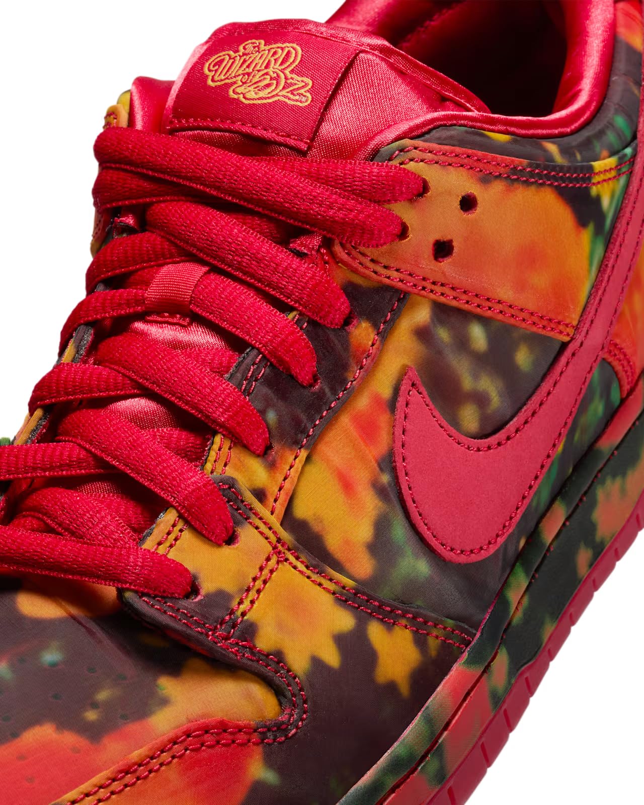 Nike Men's Dunk Low Retro Shoes