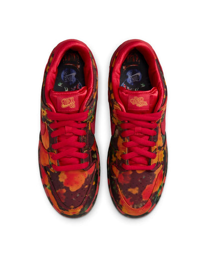 Nike Men's Dunk Low Retro Shoes
